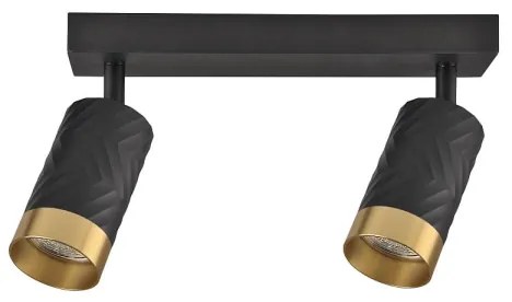 Faretto ARRAS 2xGU10/10W/230V nero