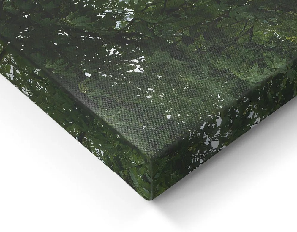 Dipinto 60x80 cm Garden Gate – Styler