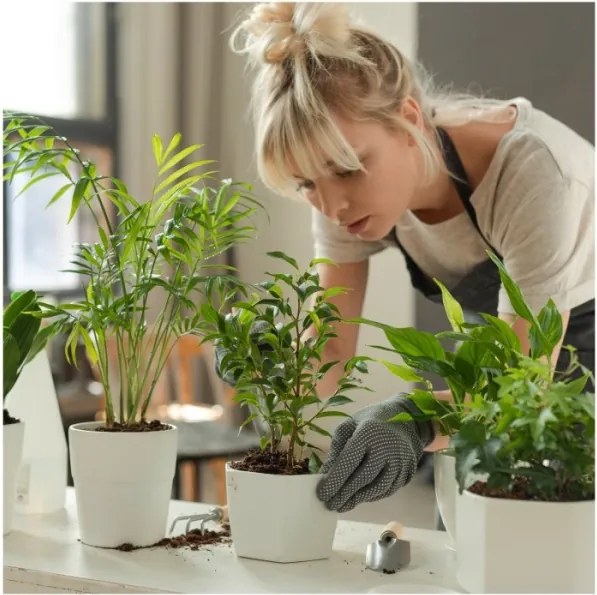 Lampada LED da tavolo dimmerabile per coltivazione piante VERDI LED/5W/5V 1300K, nera