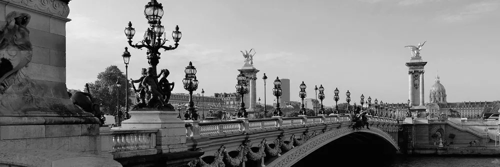 Quadro su tela – Ponte Alessandro III a Parigi in bianco e nero