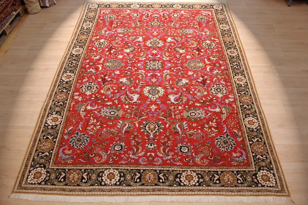 Ghom Tappeto persiano 340 x 250 (Iran) Annodato A Mano