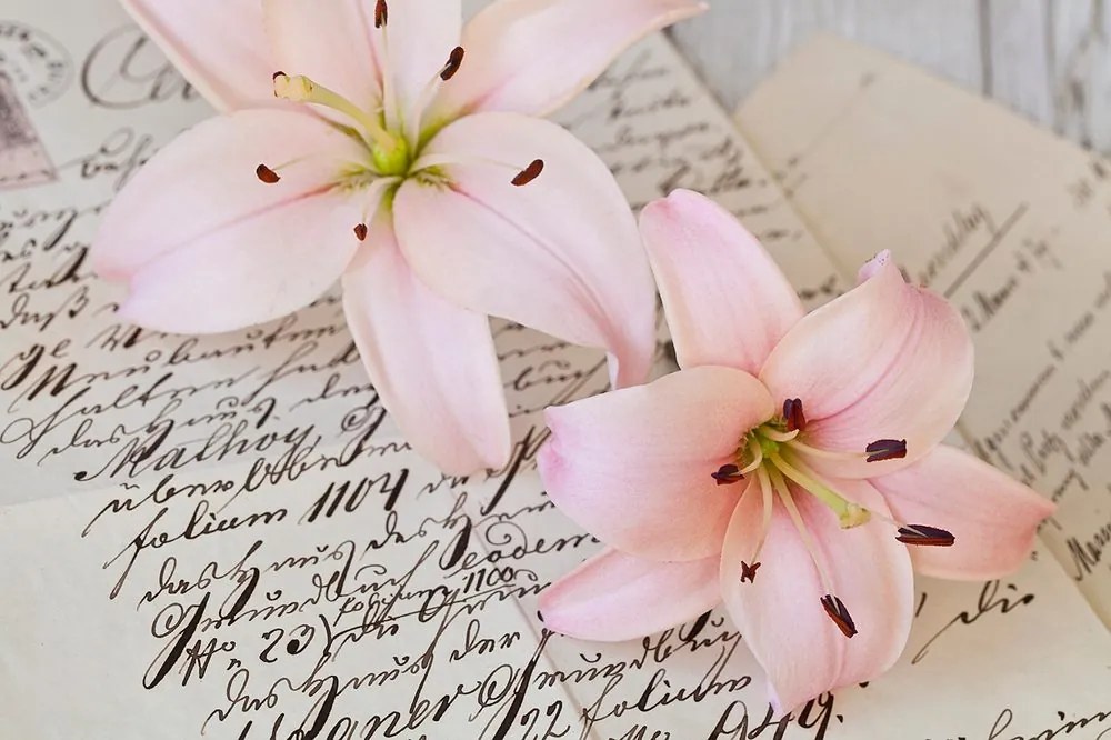 Carta da parati – Gigli su lettera elegante