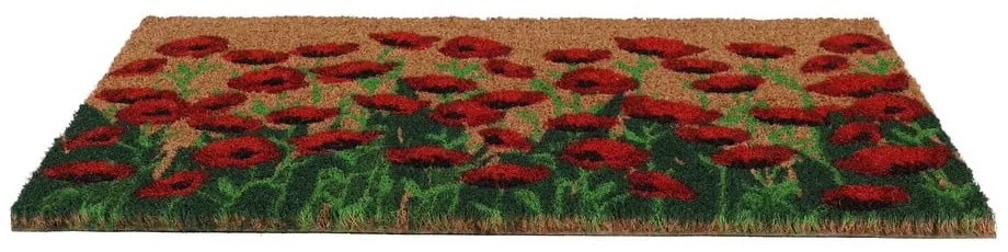 Stuoia di cocco 40x60 cm - Esschert Design