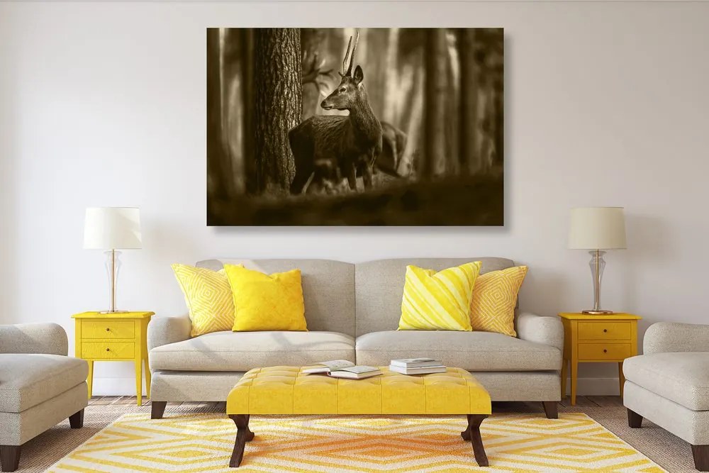 Quadro su tela – Cervo nella foresta di pini in seppia