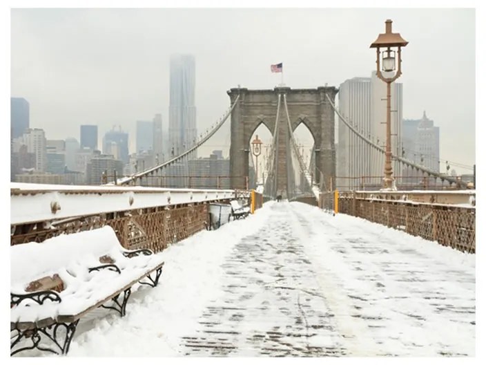 Fotomurale  Ponte newyorkese coperto dalla neve  Colore Grigio, Dimensioni e Misure 250x193