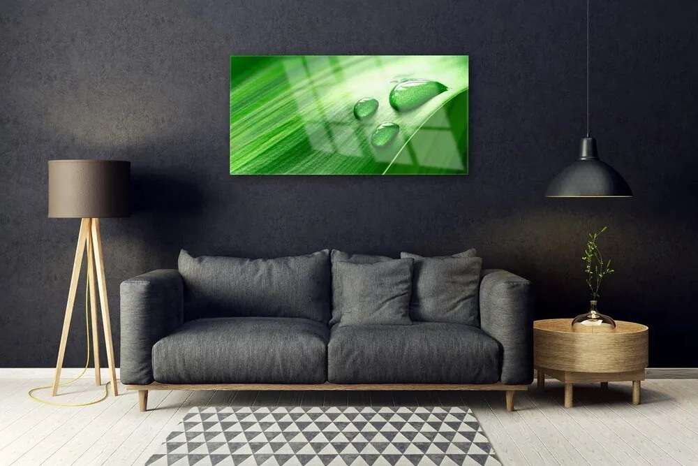 Quadro su vetro Gocce d'acqua di foglie 100x50 cm 2 appendini