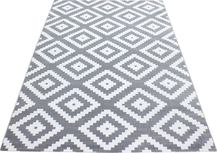 Tappeto grigio chiaro 120x170 cm Plus - Ayyildiz Carpets