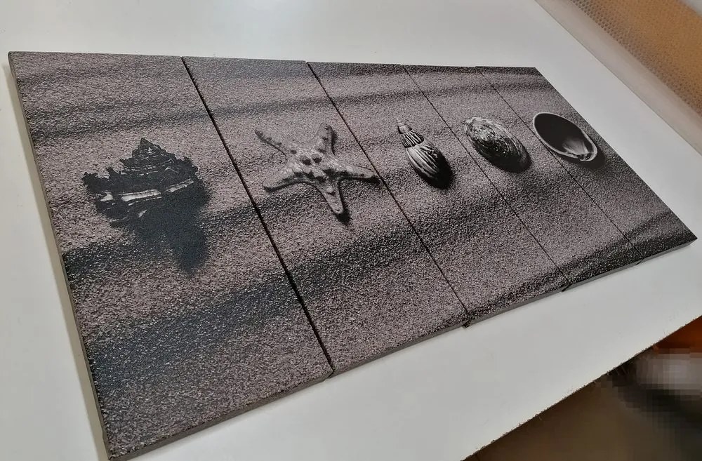 Quadri 5 pezzi – Conchiglie sulla spiaggia sabbiosa in bianco e nero