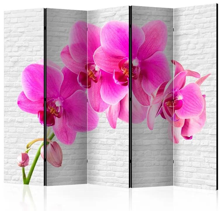 Paravento Pink excitation II [Room Dividers]