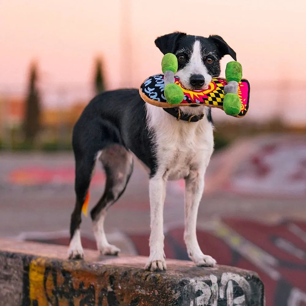 Giocattolo per cane Skateboard - P.L.A.Y.