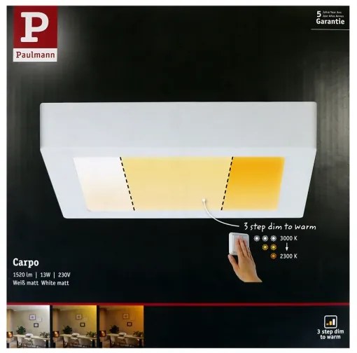 Paulmann 79796 - Plafoniera LED/13W CARPO 230V 2300-3000K