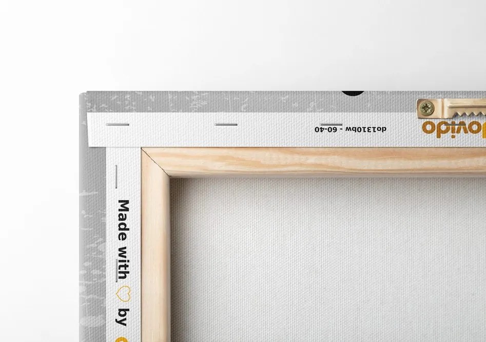 Quadro su tela – Auto in bianco e nero con sfondo vintage