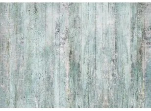 Carta da parati - Rustic Textures - First Variant Premium 450x315