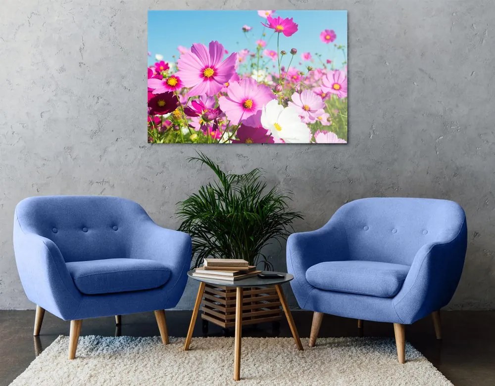 Quadro su tela – Prato di fiori primaverili