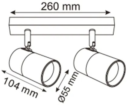 Zuma Line 2204BD-2-BK - Faretto FORI 2xGU10/50W/230V nero/oro