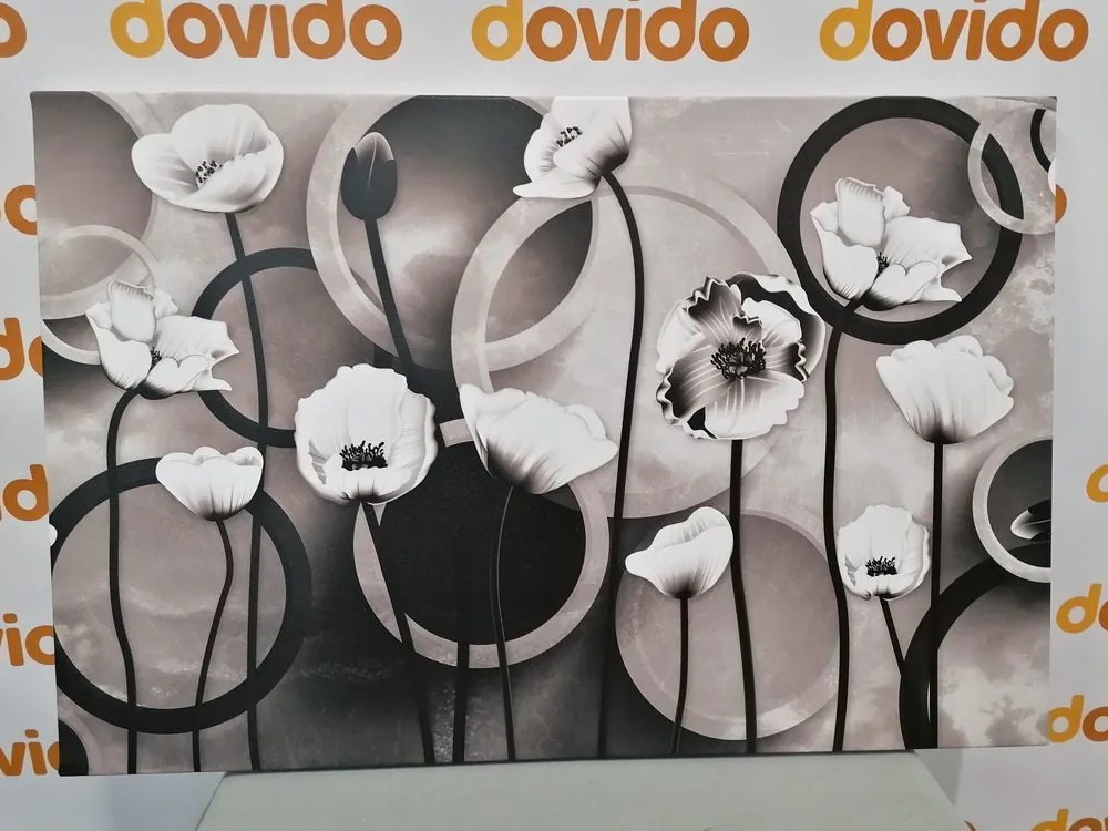 Stampa su tela – Papaveri su sfondo astratto in bianco e nero