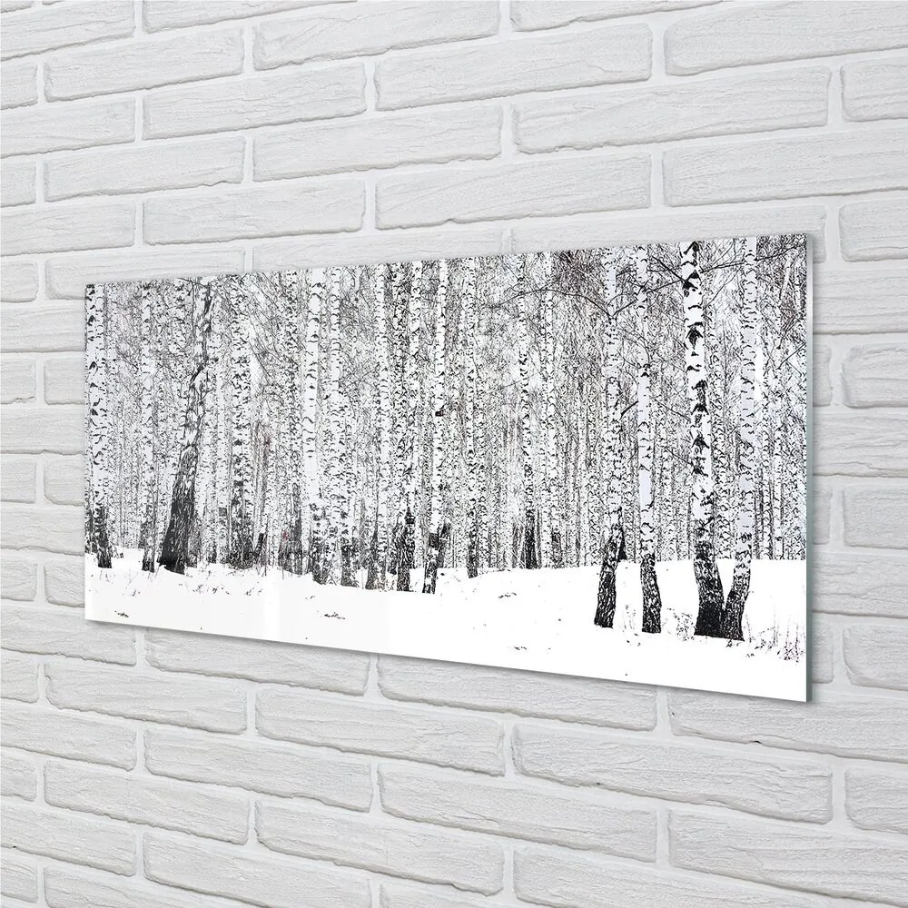 Quadro vetro Alberi betulle invernali 100x50 cm