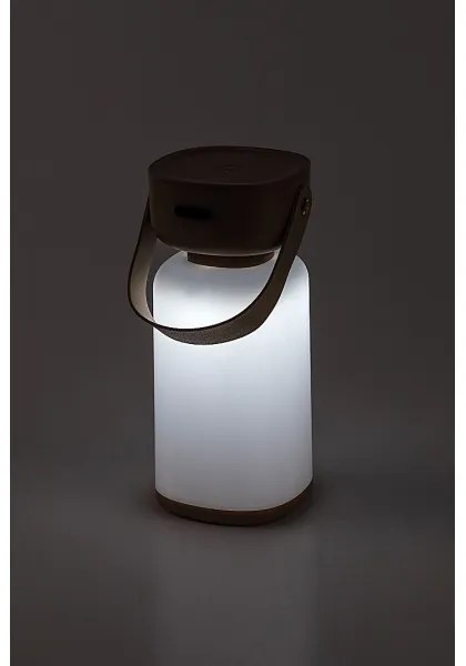 Rabalux 77143- LED Dimmerabile ricaricabile touch per esterni lampada da tavolo FUNES LED/3W/5V IP44 marrone