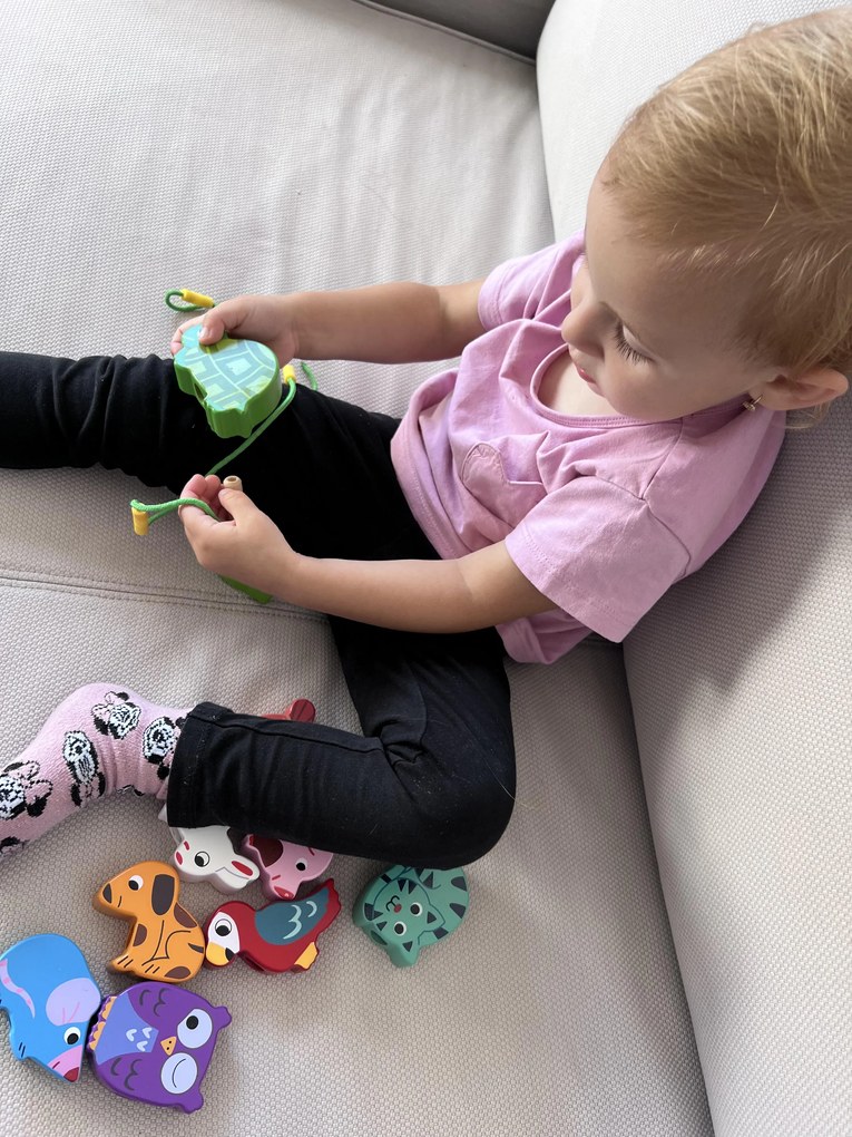 Vilac - Figure da infilare - animali domestici