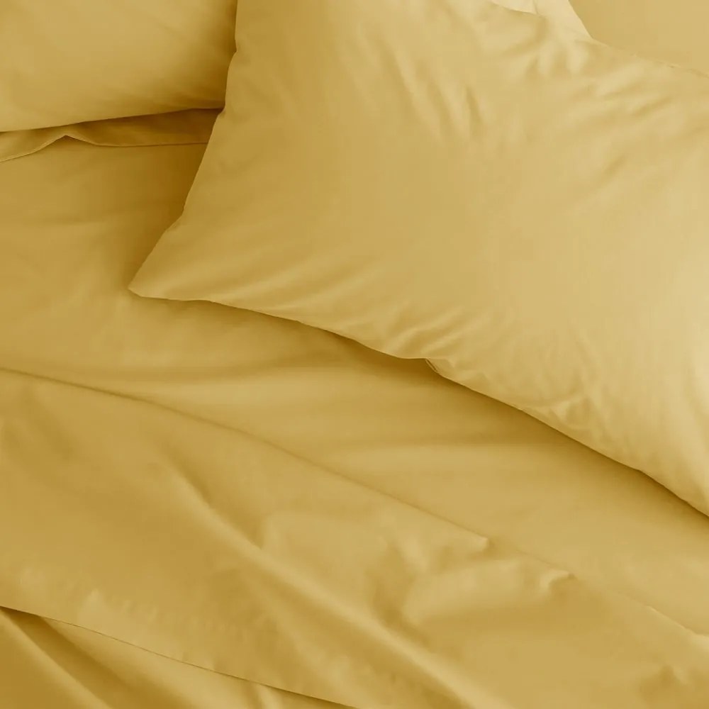 Lenzuolo con angoli giallo in percalle 90x190 cm Easy Iron Percale – Catherine Lansfield