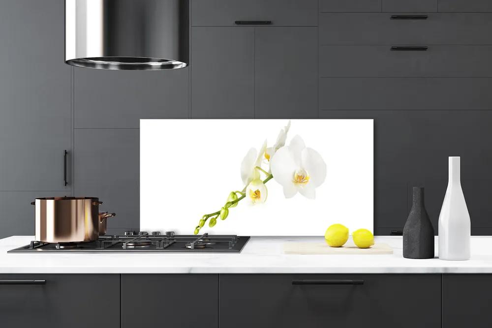 Rivestimento parete cucina Fiori, piante, natura 100x50 cm