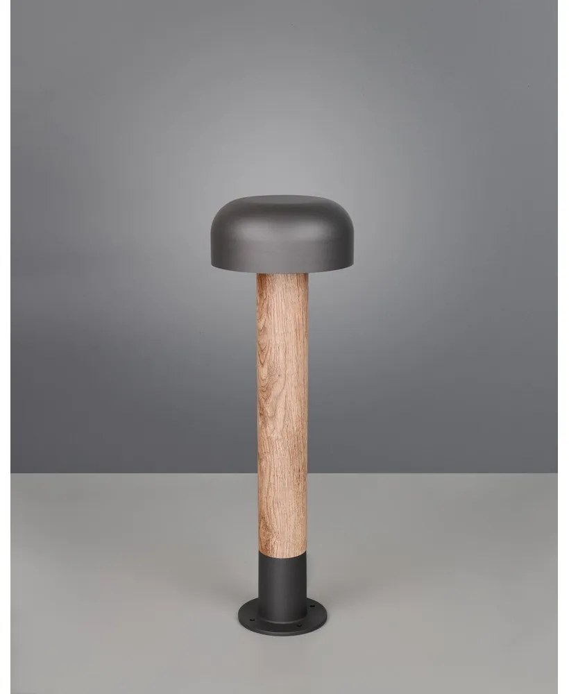 Illuminazione esterna a colonna ø 19 cm Fraser – Trio