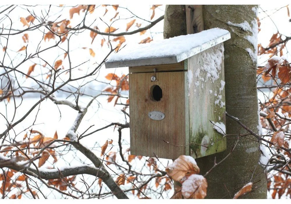 Cassetta di legno per cinciallegre - Esschert Design