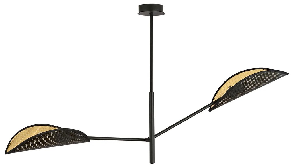 Lampadario 2 Luci Eridano In Acciao Nero E Oro Con Bracci Mobili