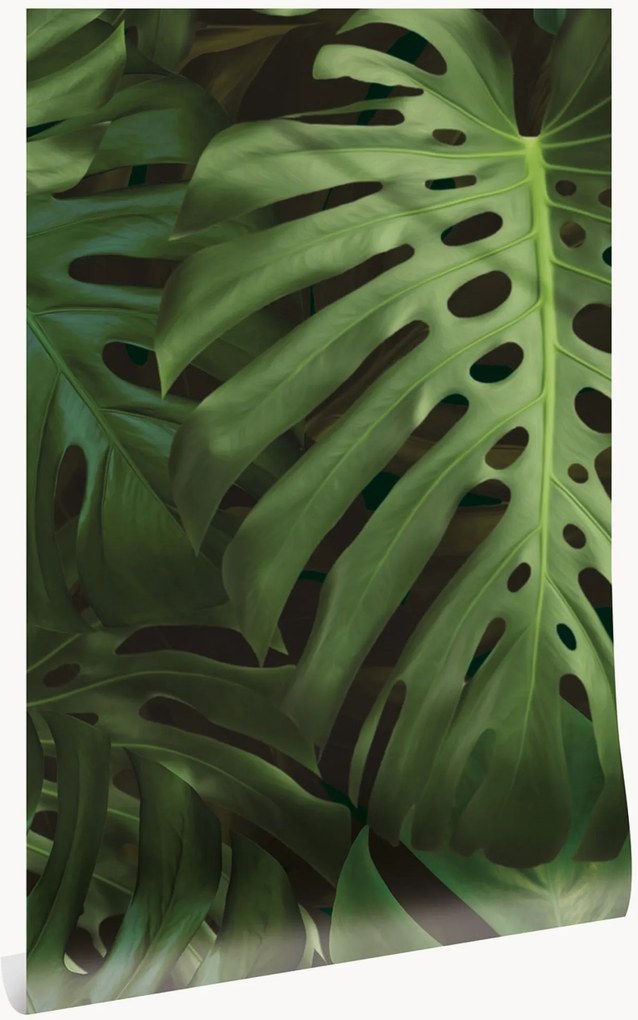 Carta da parati in tessuto non tessuto Monstera