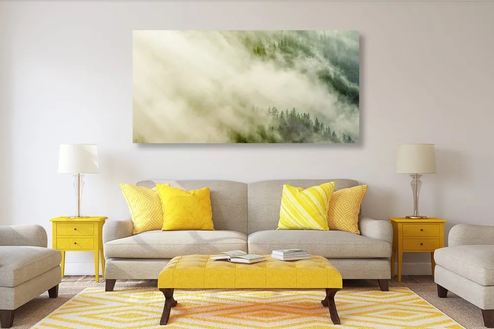 Quadro su tela – Foresta nebbiosa