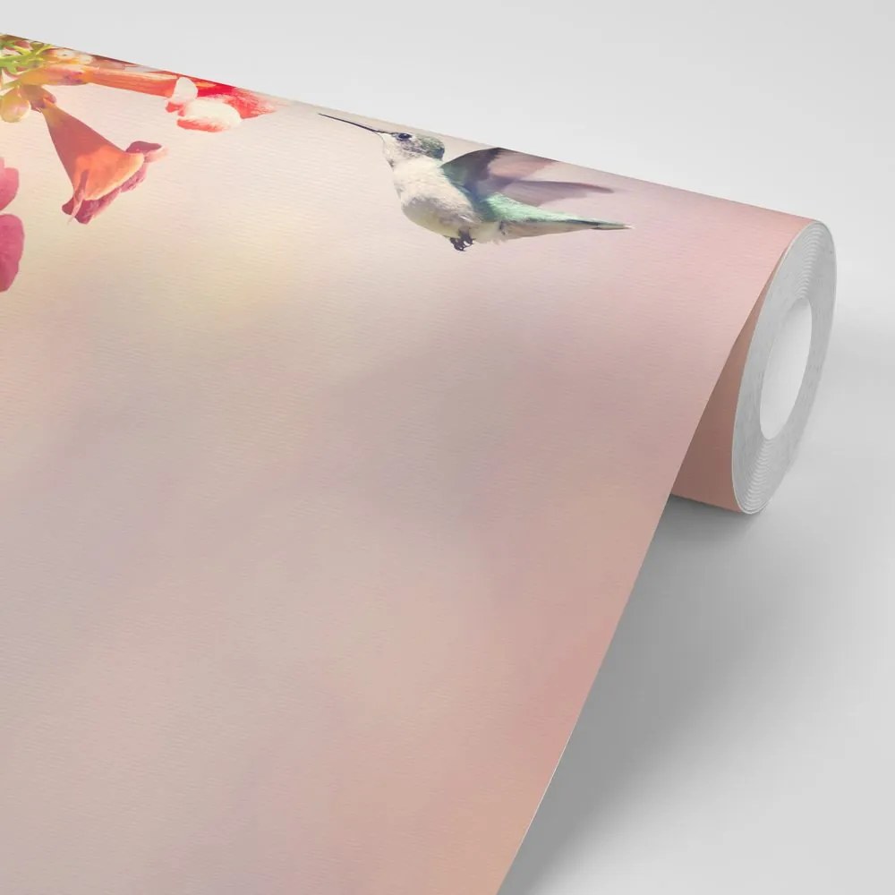 Carta da parati – Invasione di colibrì