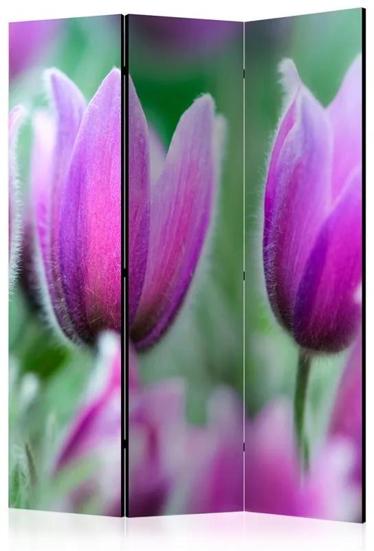 Paravento Purple spring tulips [Room Dividers]