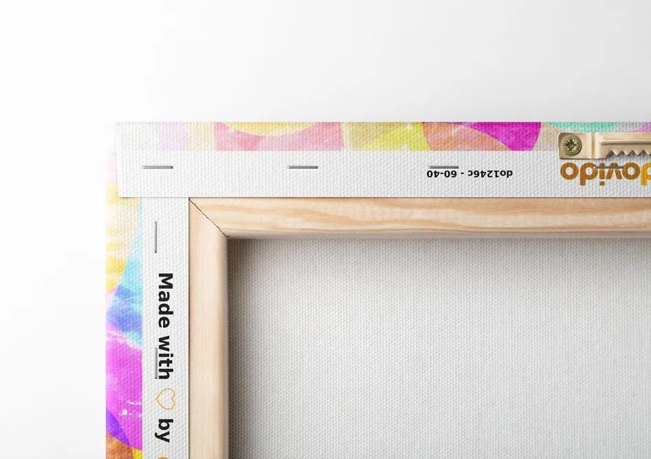 Stampa su tela – Cerchi pieni di colori