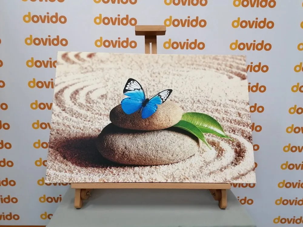 Stampa su tela – Farfalla blu nel giardino Zen