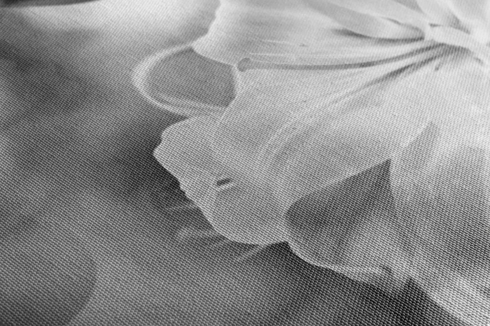 Stampa su tela – Fiore di giglio su sfondo astratto in bianco e nero