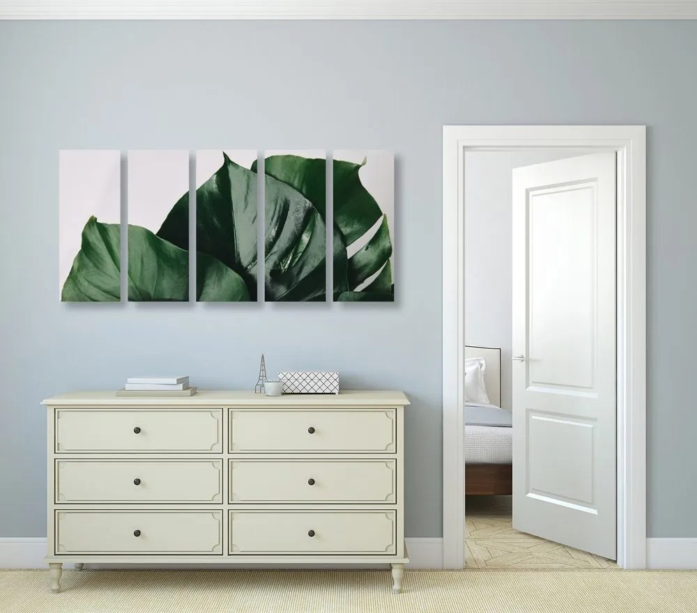 Quadri 5 pezzi – Foglia di monstera
