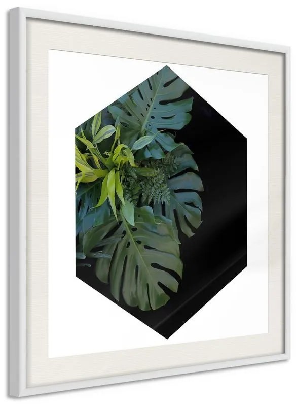 Poster  Cell of Jungle  Cornice Quadri Cornice nera con pass-partout, Larghezza x Altezza Home decor 50x50