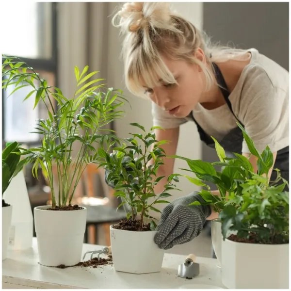 Lampada da tavolo LED dimmerabile per la coltivazione delle piante VERDI LED/12W/230V 4500K