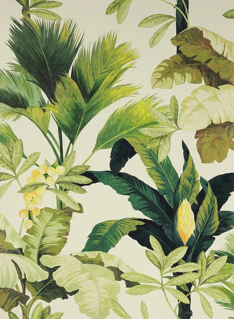 Manuel Canovas Carta da parati Salengro - Kaki