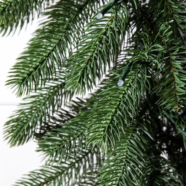 Twinkly GT90P4425P00 - LED RGBW dimmerabile decorazione natalizia ghirlanda 50 LED Wi-Fi