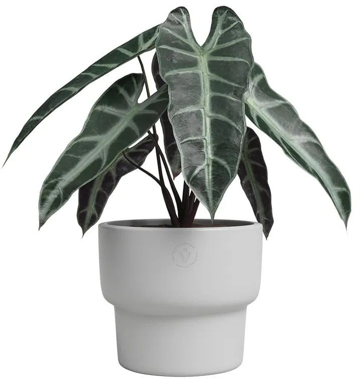 Vaso in ceramica fatto a mano ø 17 cm Echo - Artevasi