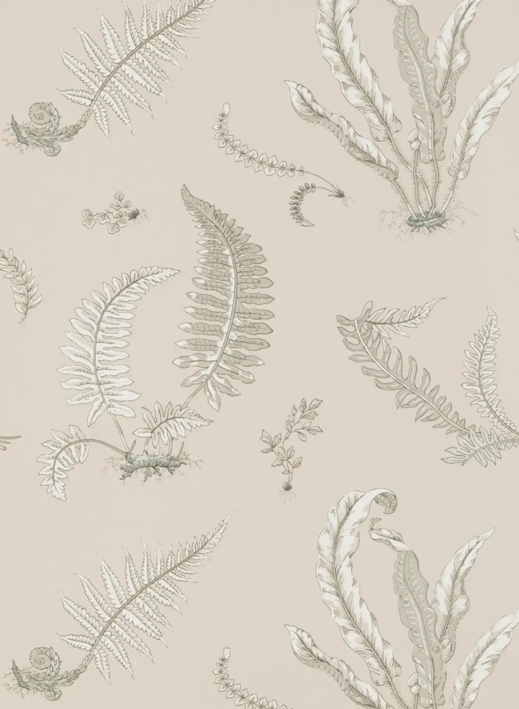 GP & J Baker Carta da parati Ferns - Linen