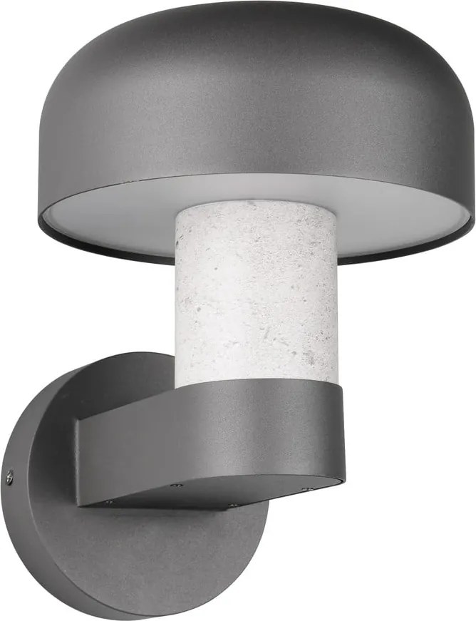 Illuminazione esterna da parete (altezza totale 24,5 cm) Fraser – Trio