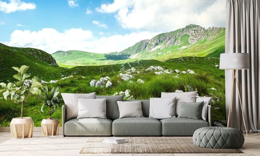 Carta da parati – Valle in Montenegro