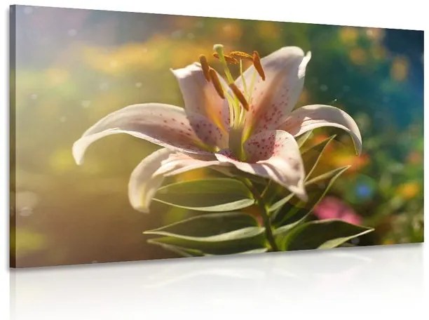 Quadro su tela – Splendido fiore con tocco retrò