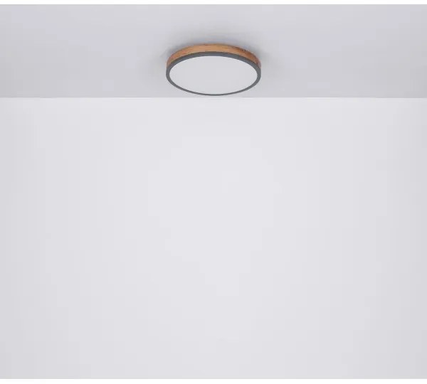 Globo 416080WD1R - Plafoniera LED DORO LED/12W/230V d. 30 cm