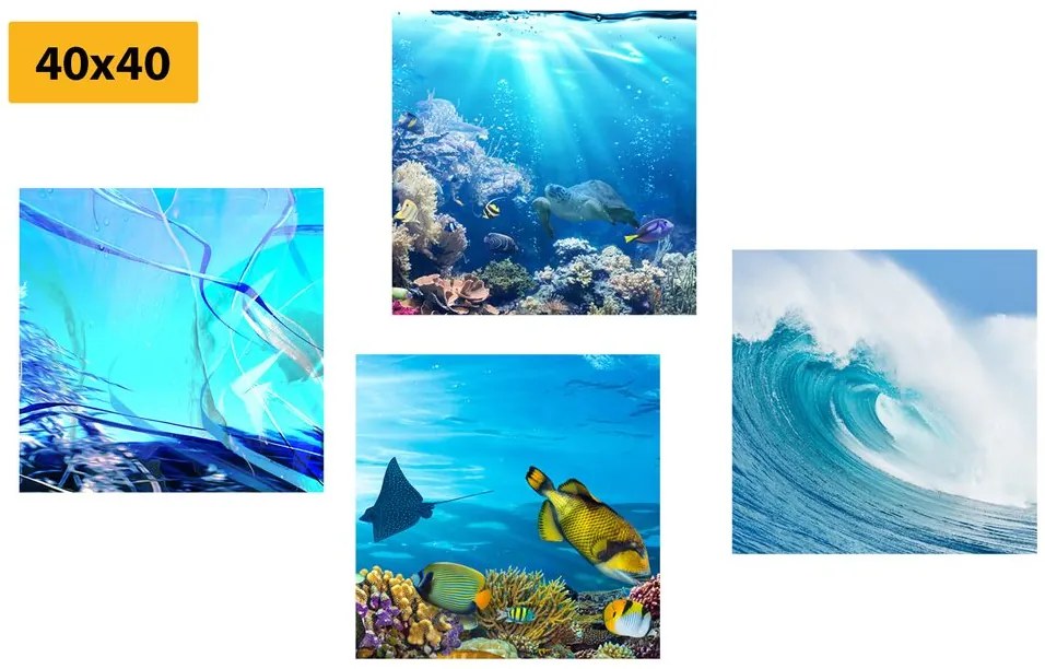 Set di quadri – Vita sotto il mare