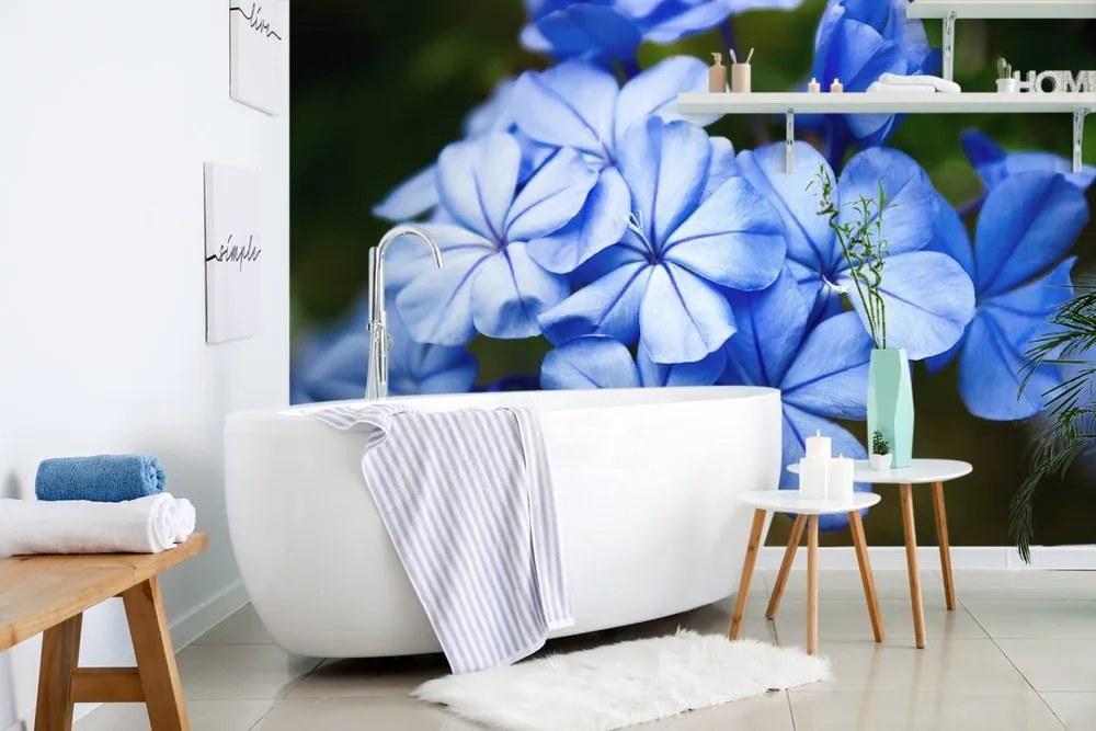 Carta da parati autoadesiva – Fiori blu selvatici