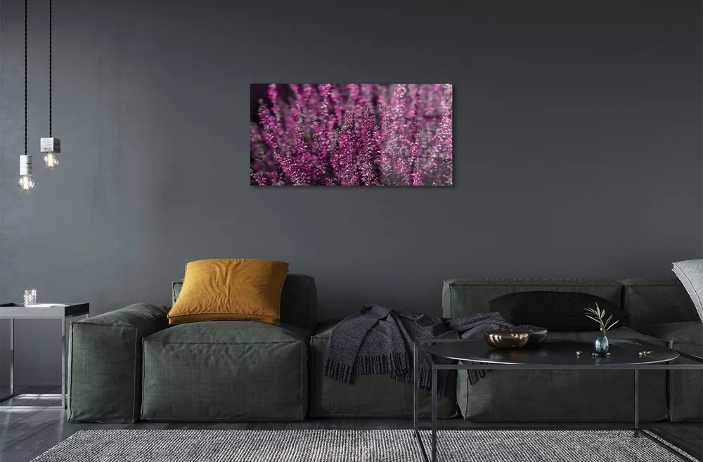 Quadro su vetro Campo di heather 100x50 cm 2 appendini