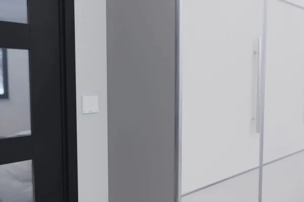 TESLA Smart - Interruttore domestico intelligente 2P 230V Zigbee